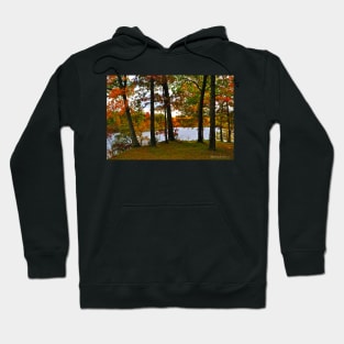 Murphysboro Lake (2) Hoodie